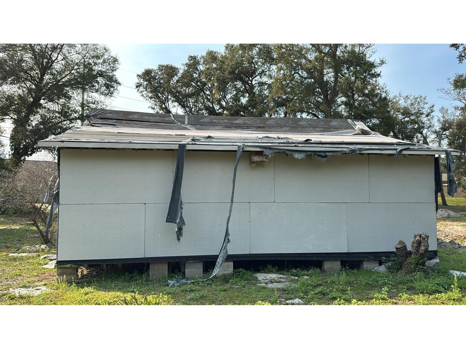 1928 Old Apopka Road Apopka FL 32703 P4933730 image3