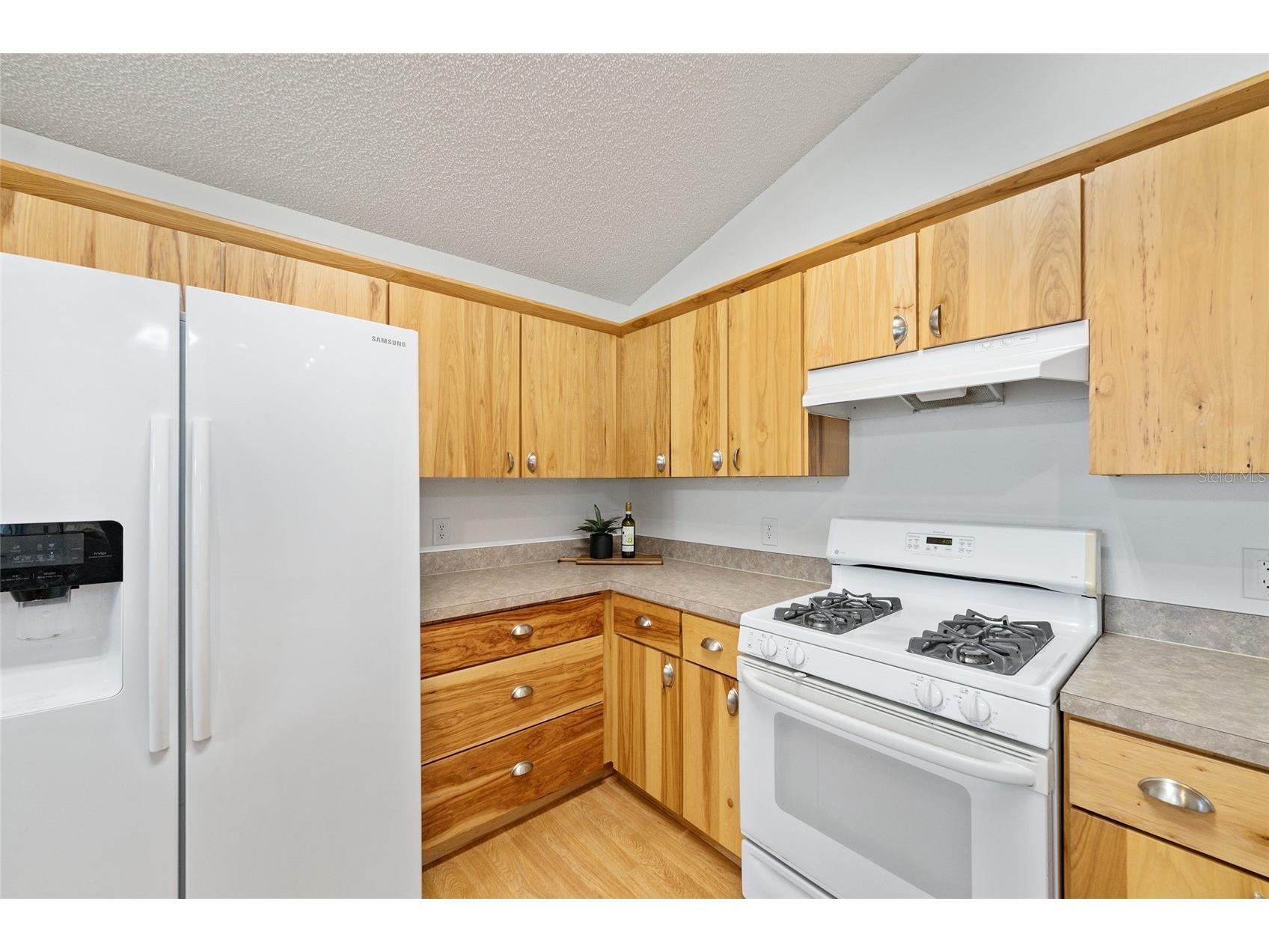 1928 Peachtree Avenue The Villages FL 32162 G5106738 image14