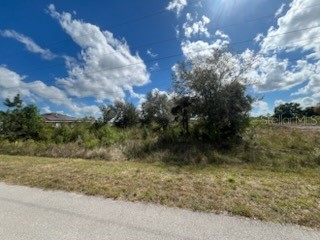 1928 Vesper Court Lehigh Acres FL 33972 OK224932 image10