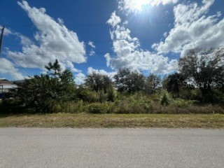 1928 Vesper Court Lehigh Acres FL 33972 OK224932 image12