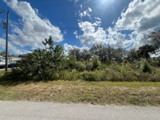 1928 Vesper Court Lehigh Acres FL 33972 OK224932 image5