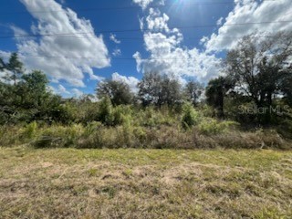 1928 Vesper Court Lehigh Acres FL 33972 OK224932 image7