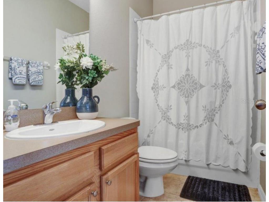 19281 Stone Hedge Drive Tampa FL 33647 TB8417989 image22