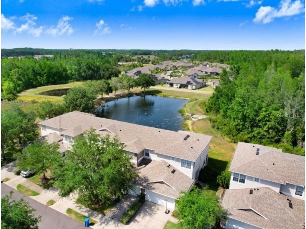 19281 Stone Hedge Drive Tampa FL 33647 TB8417989 image25