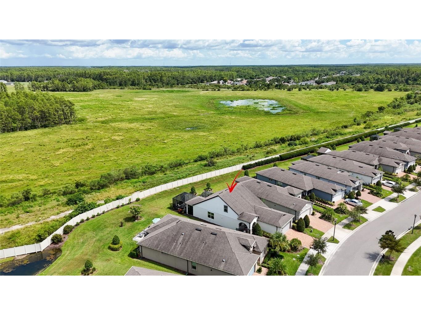 19287 Coastal Shore Terrace Land O Lakes FL 34638 TB8417521 image24