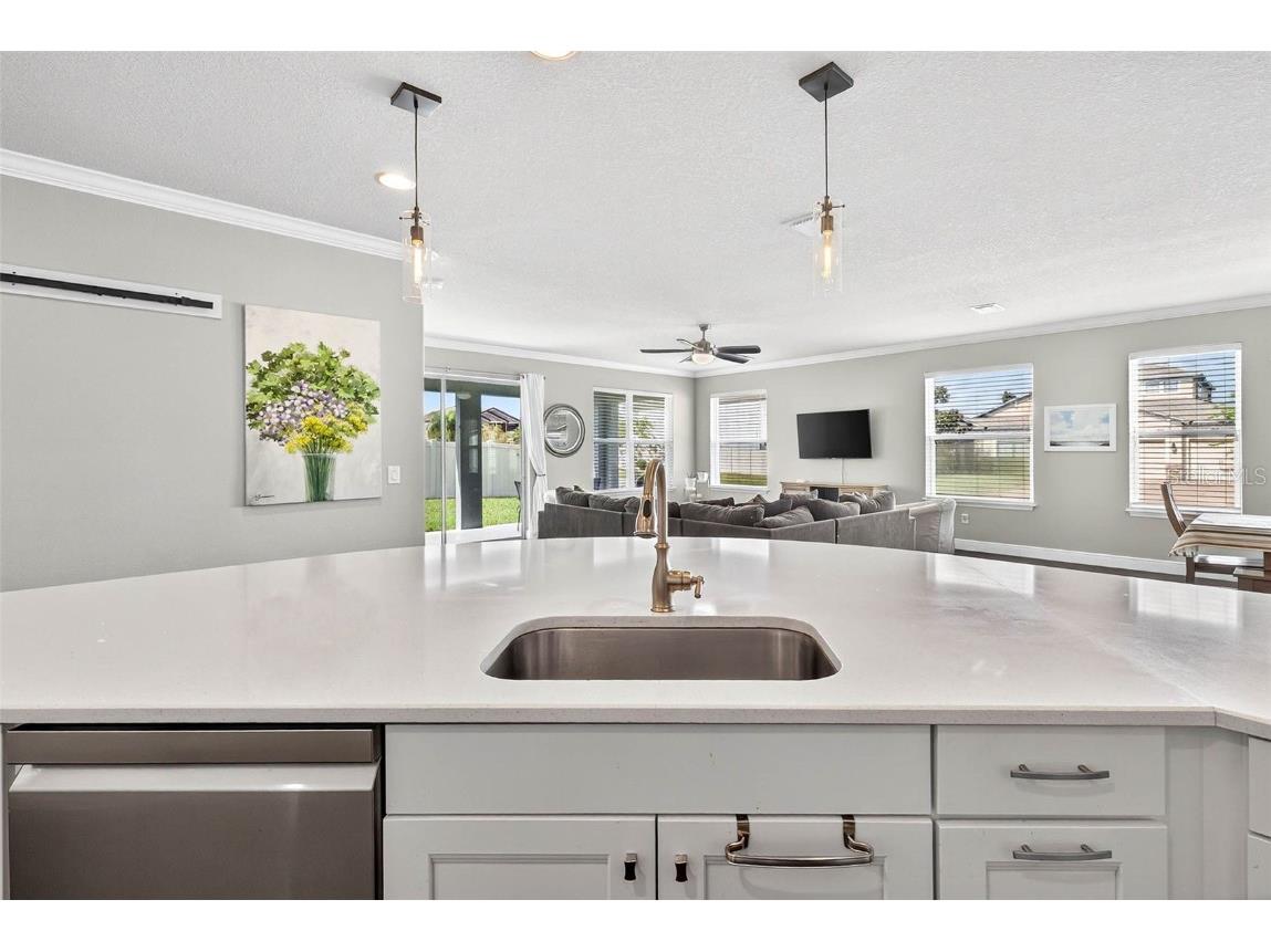 1929 Moorhen Way Lutz FL 33558 TB8435832 image17