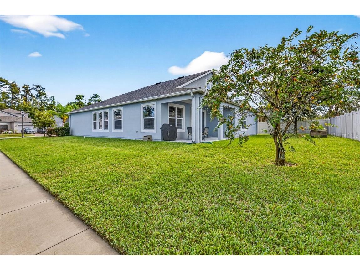 1929 Moorhen Way Lutz FL 33558 TB8435832 image53