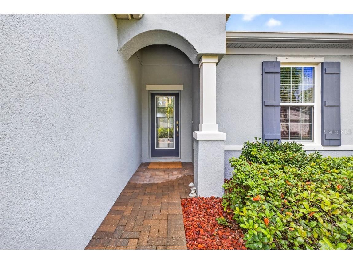 1929 Moorhen Way Lutz FL 33558 TB8435832 image6