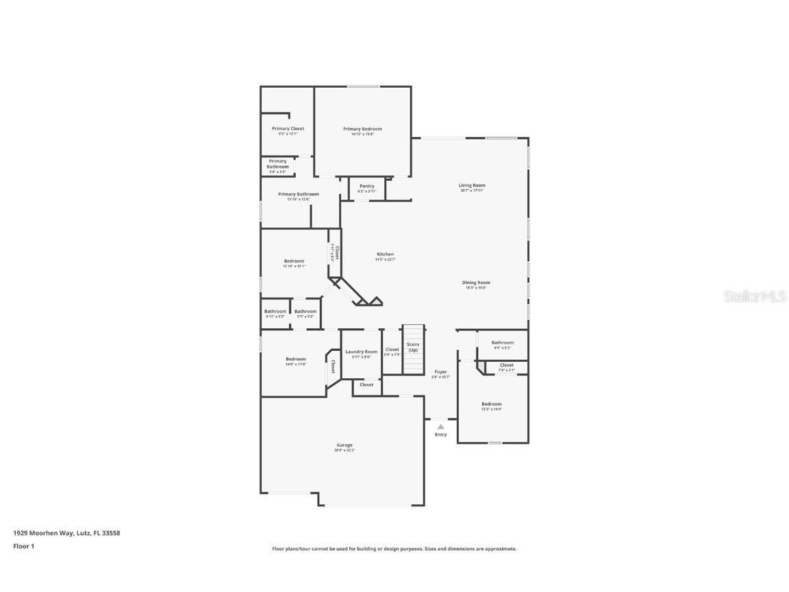 1929 Moorhen Way Lutz FL 33558 TB8435832 image64