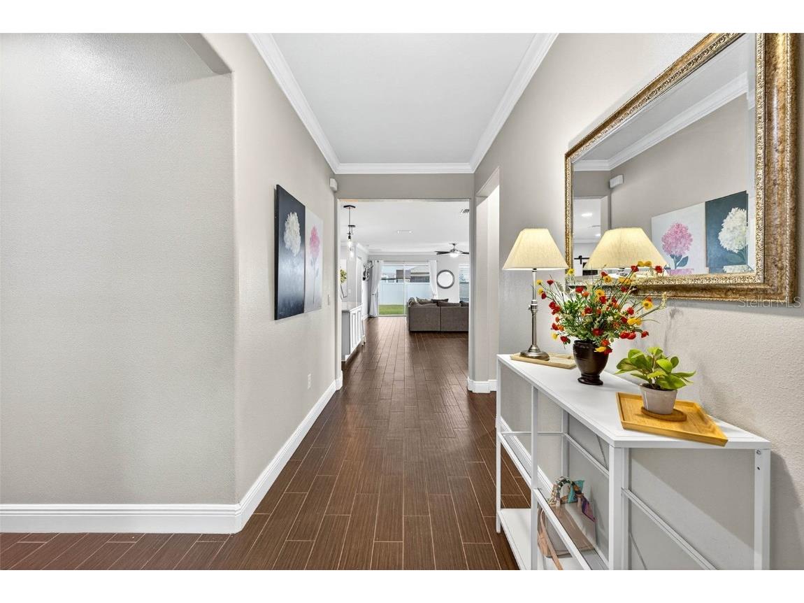 1929 Moorhen Way Lutz FL 33558 TB8435832 image7