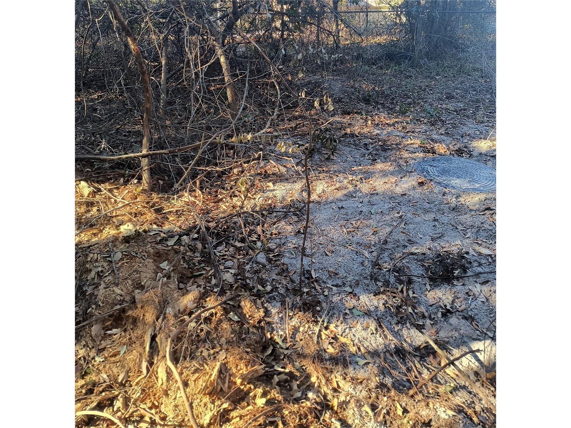 1929 NE 7th Place Gainesville FL 32641 A4682223 image12