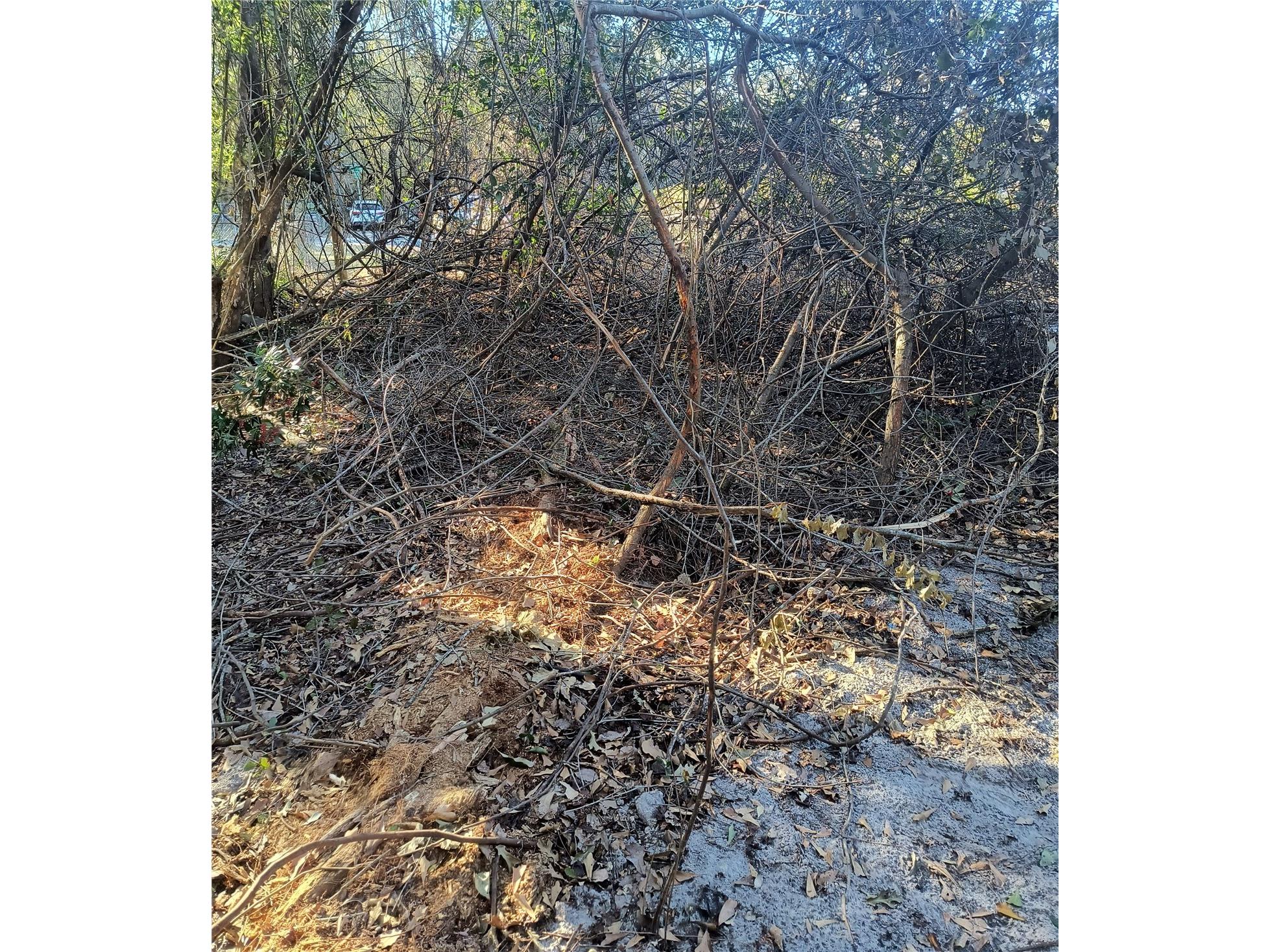 1929 NE 7th Place Gainesville FL 32641 A4682223 image13