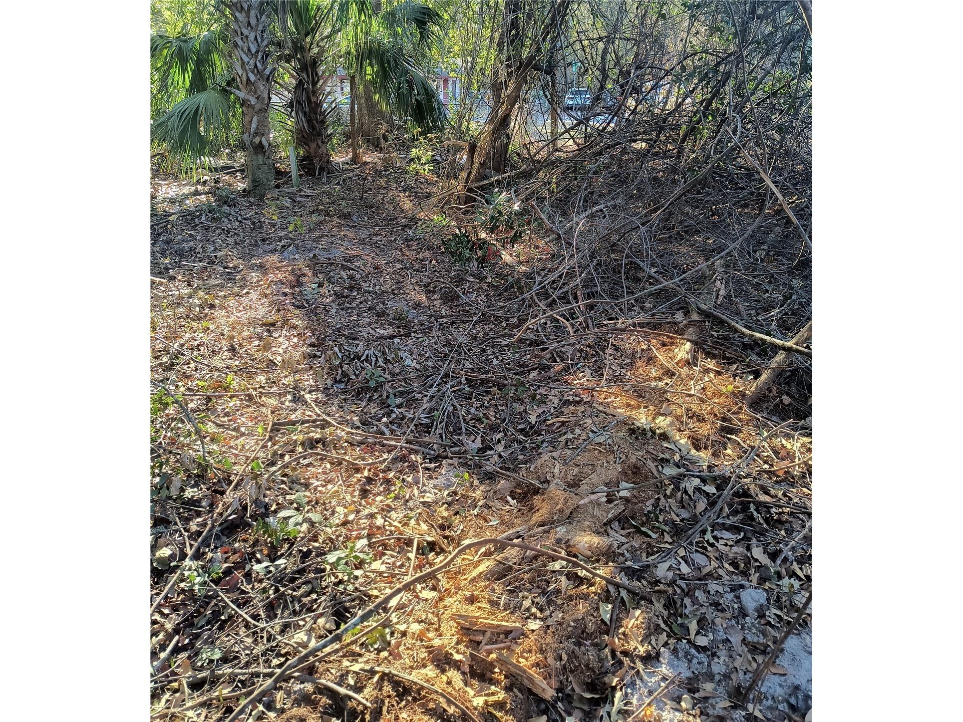 1929 NE 7th Place Gainesville FL 32641 A4682223 image14