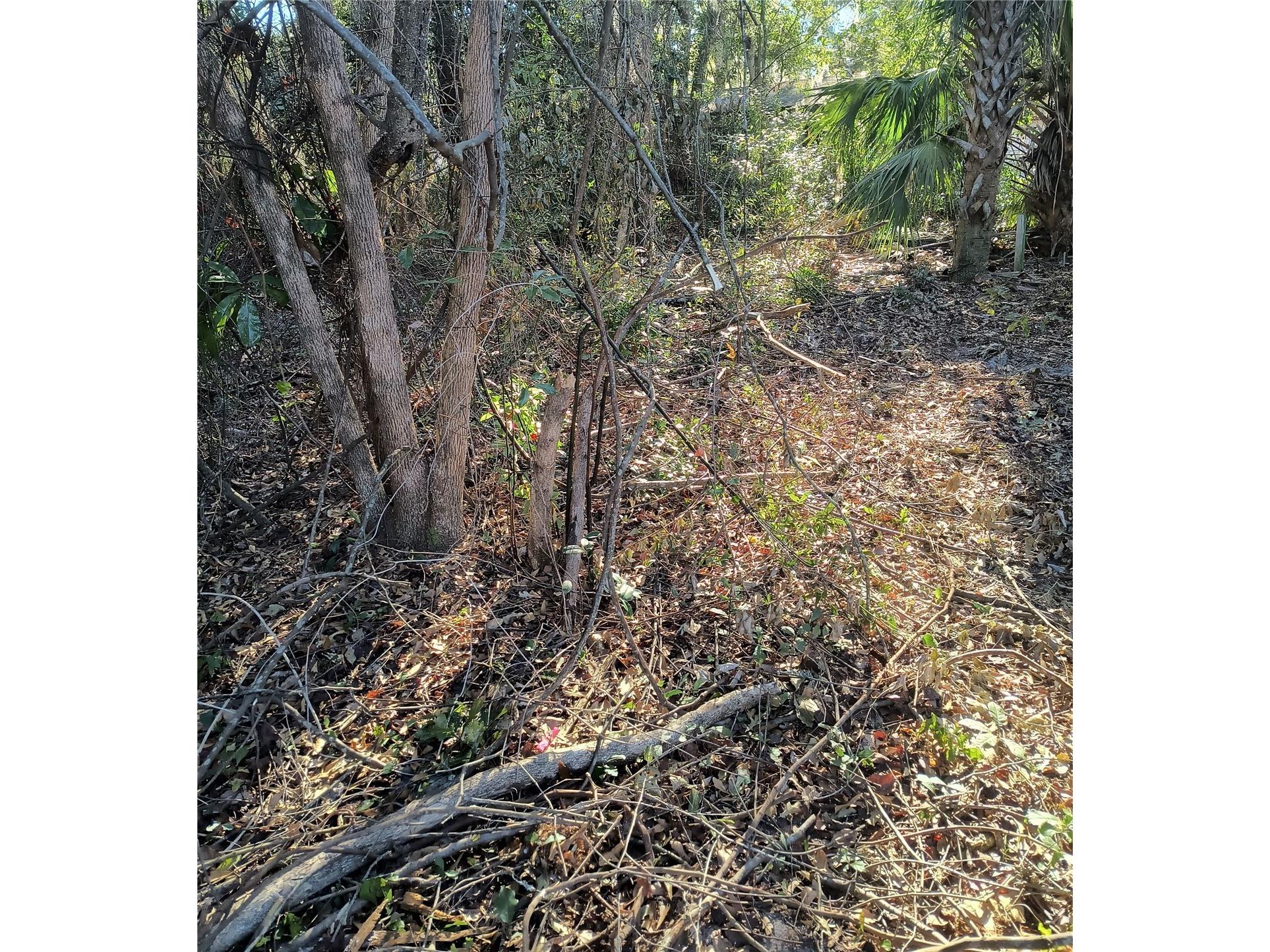 1929 NE 7th Place Gainesville FL 32641 A4682223 image15