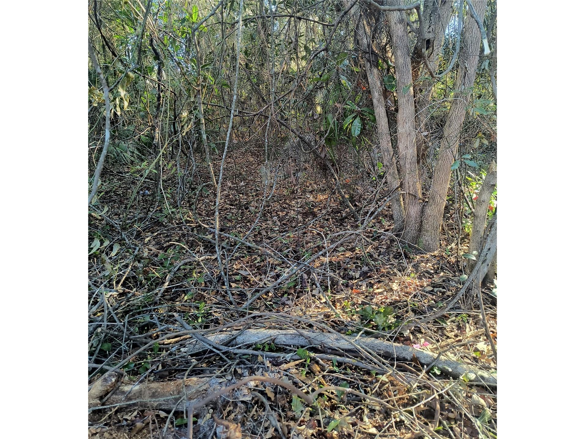 1929 NE 7th Place Gainesville FL 32641 A4682223 image16