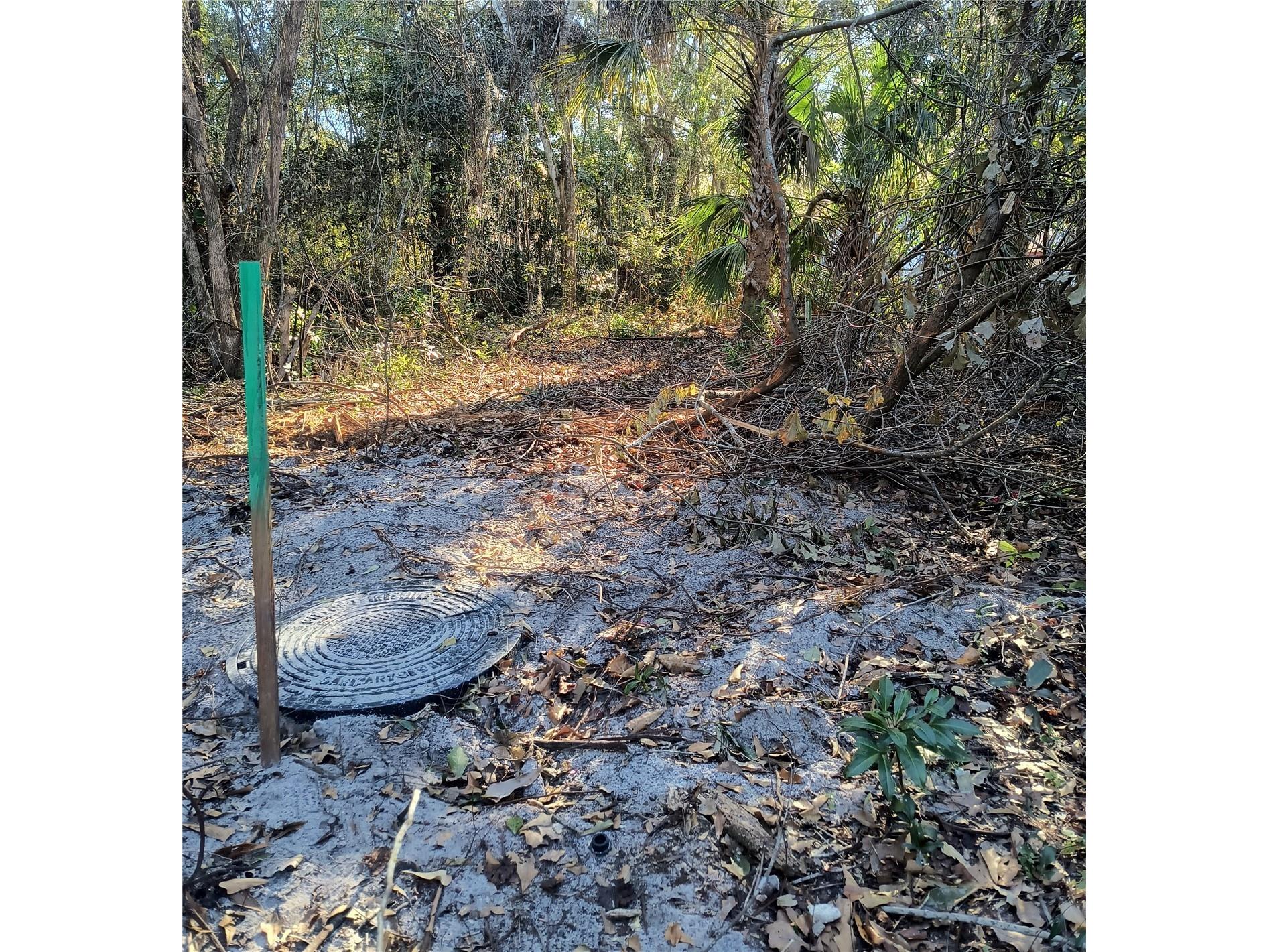 1929 NE 7th Place Gainesville FL 32641 A4682223 image17