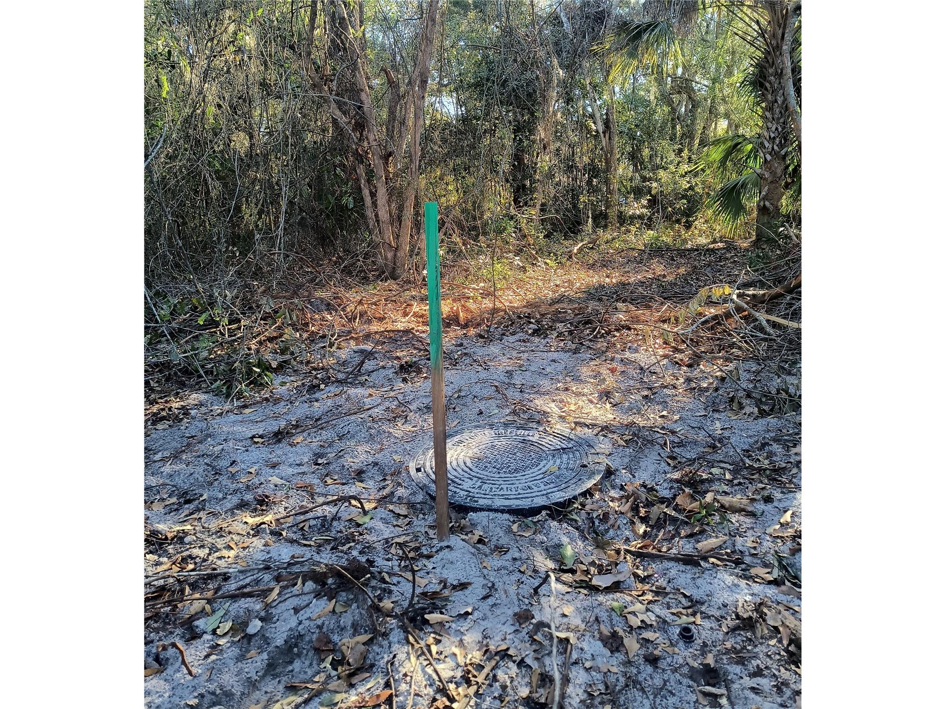 1929 NE 7th Place Gainesville FL 32641 A4682223 image18