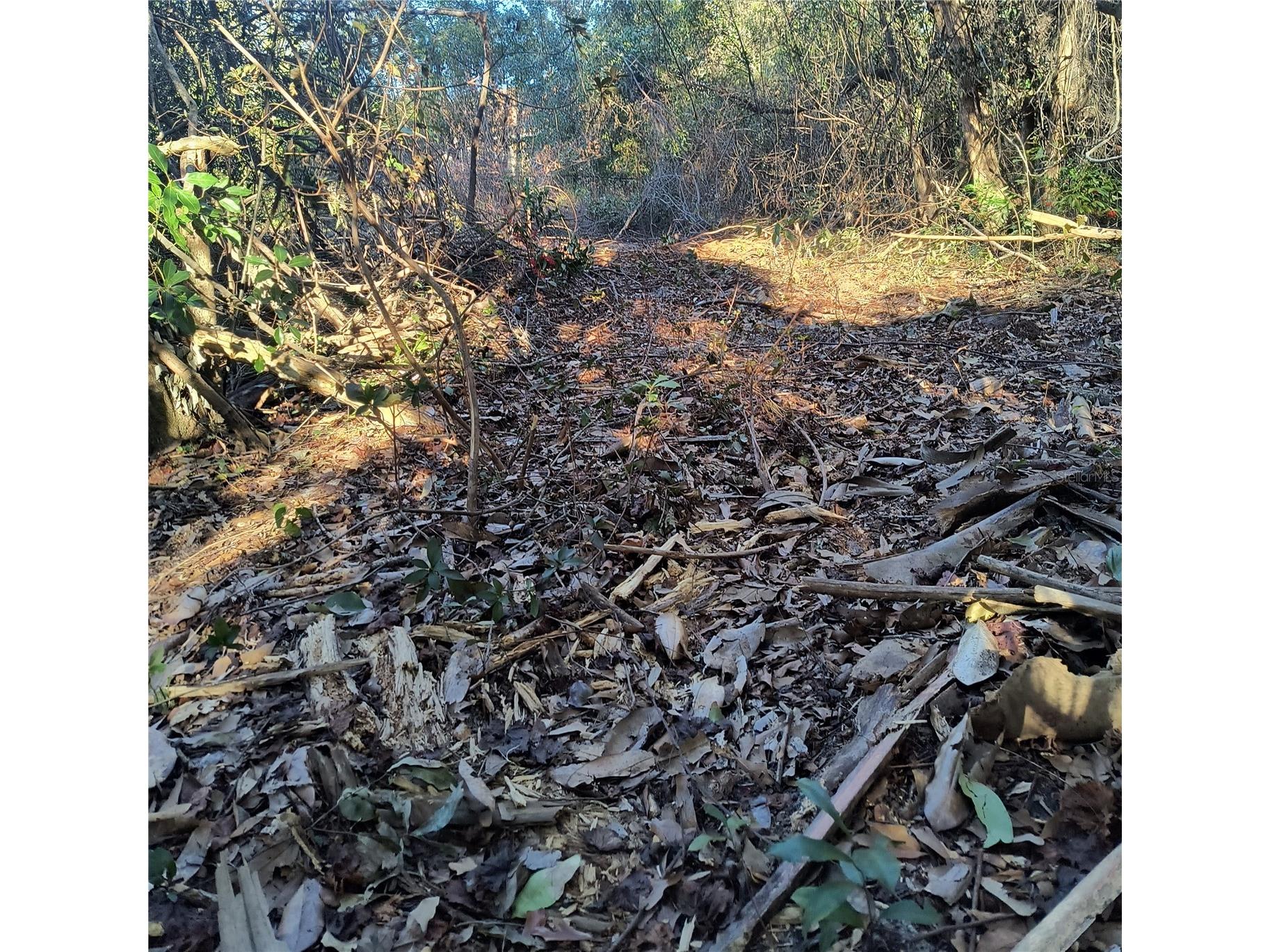 1929 NE 7th Place Gainesville FL 32641 A4682223 image19