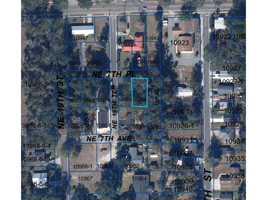 1929 NE 7th Place Gainesville FL 32641 A4682223 image2