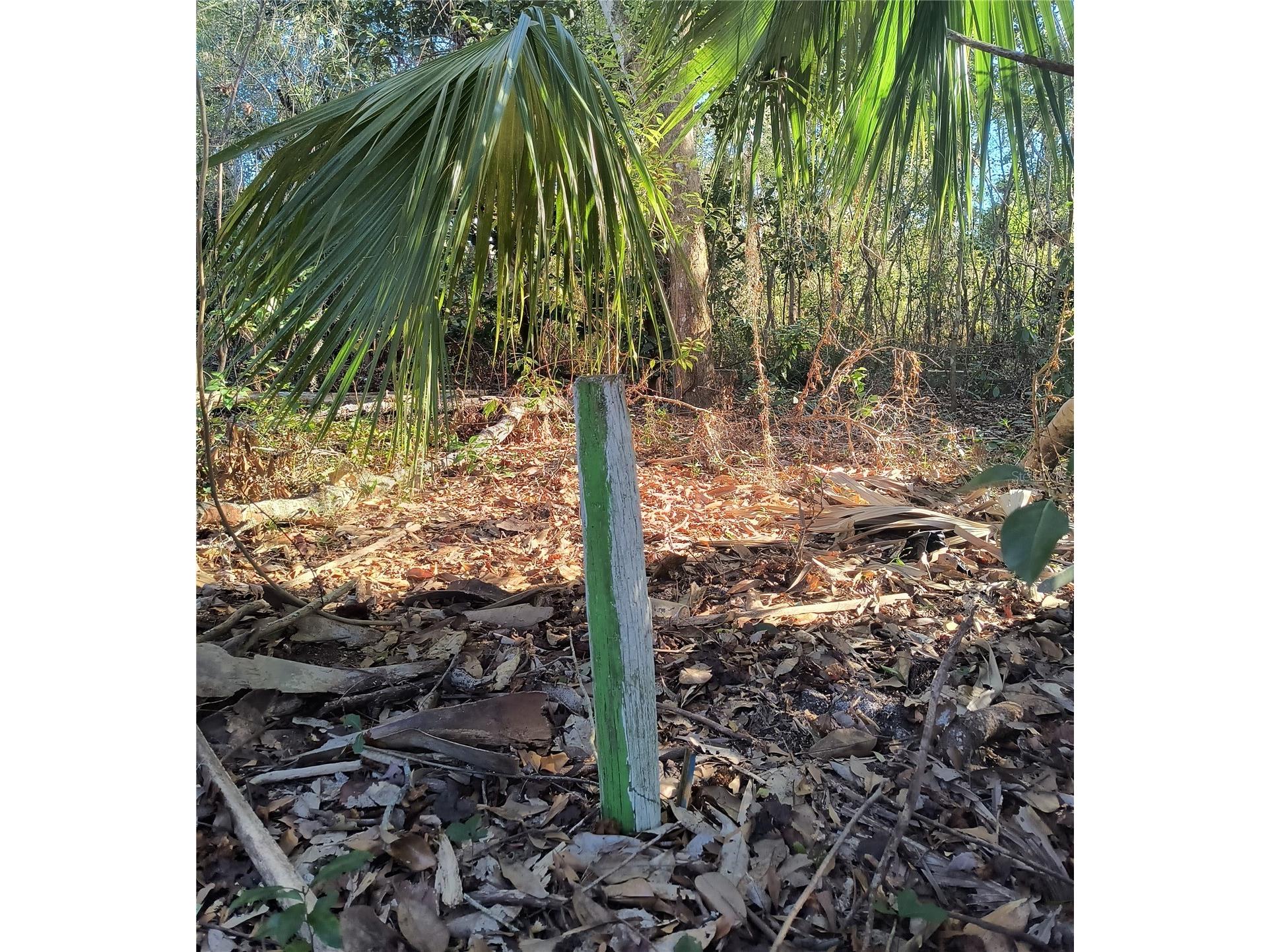 1929 NE 7th Place Gainesville FL 32641 A4682223 image6