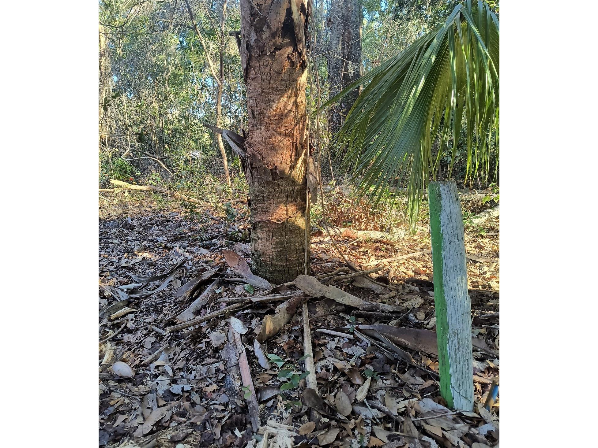 1929 NE 7th Place Gainesville FL 32641 A4682223 image7