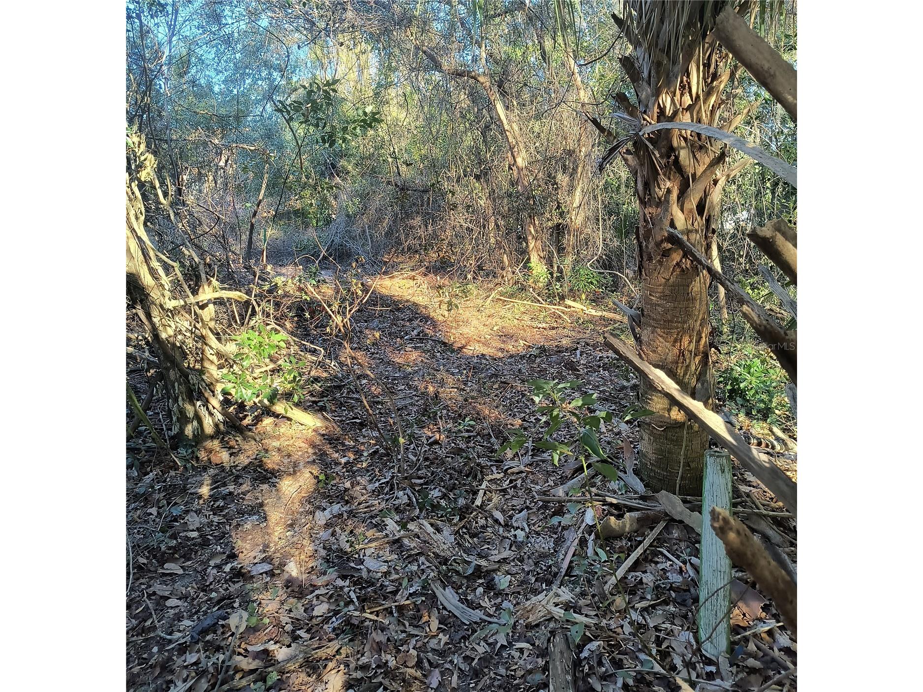 1929 NE 7th Place Gainesville FL 32641 A4682223 image8