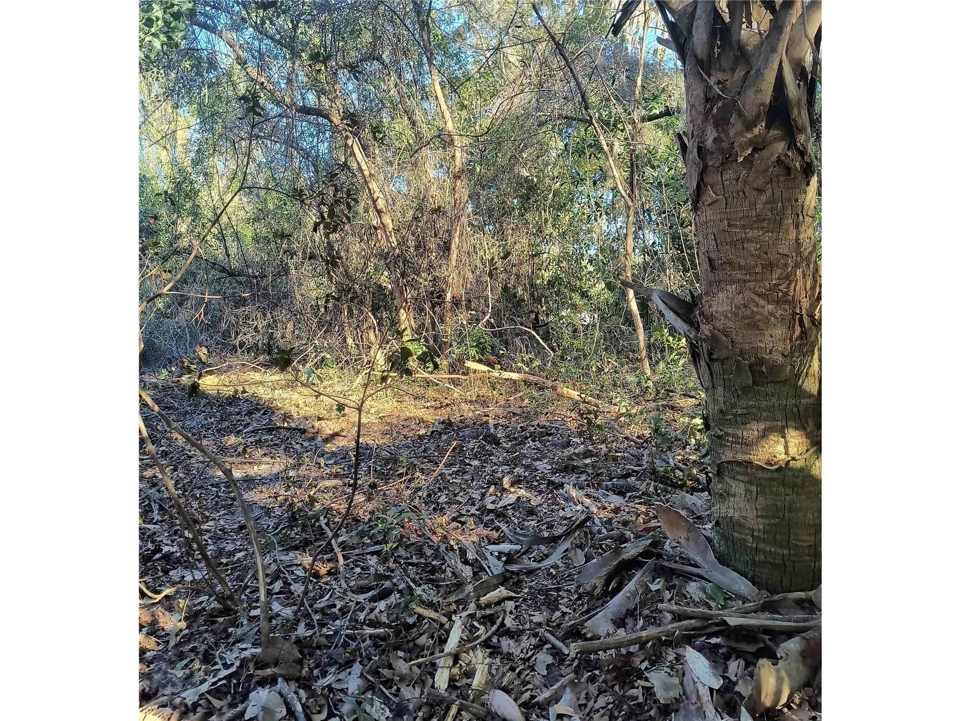 1929 NE 7th Place Gainesville FL 32641 A4682223 image9