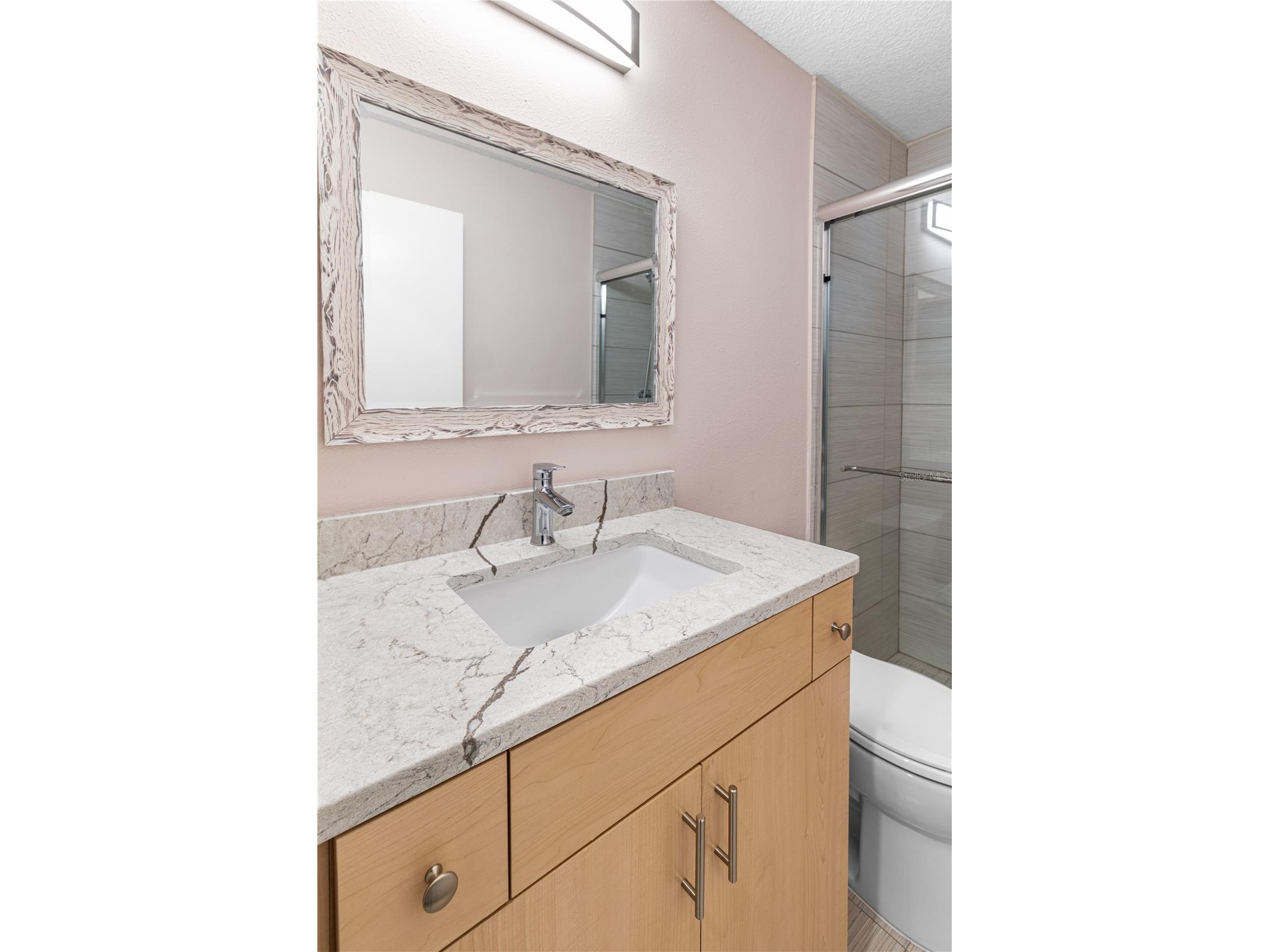 1929 Valencia Way Clearwater FL 33764 L4961336 image39