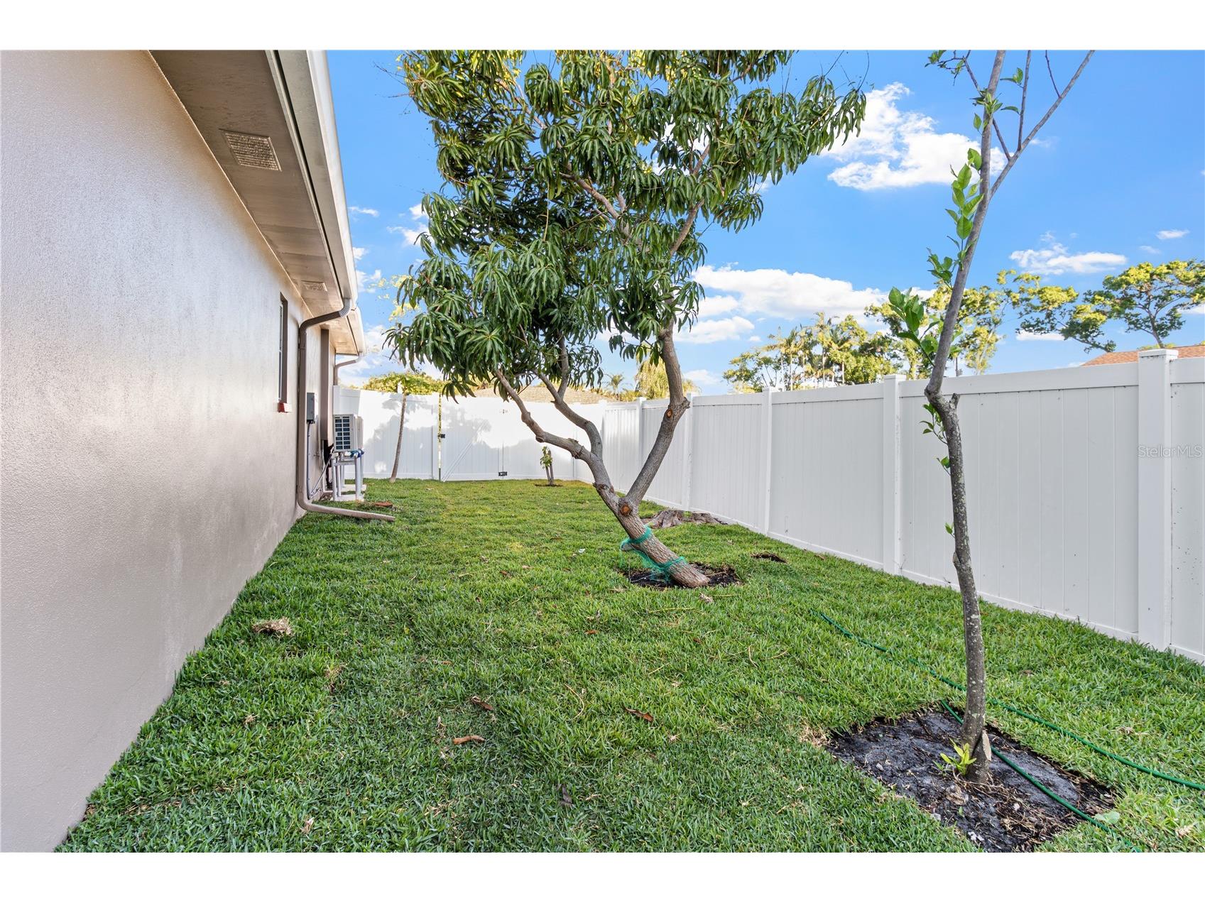 1929 Valencia Way Clearwater FL 33764 L4961336 image52