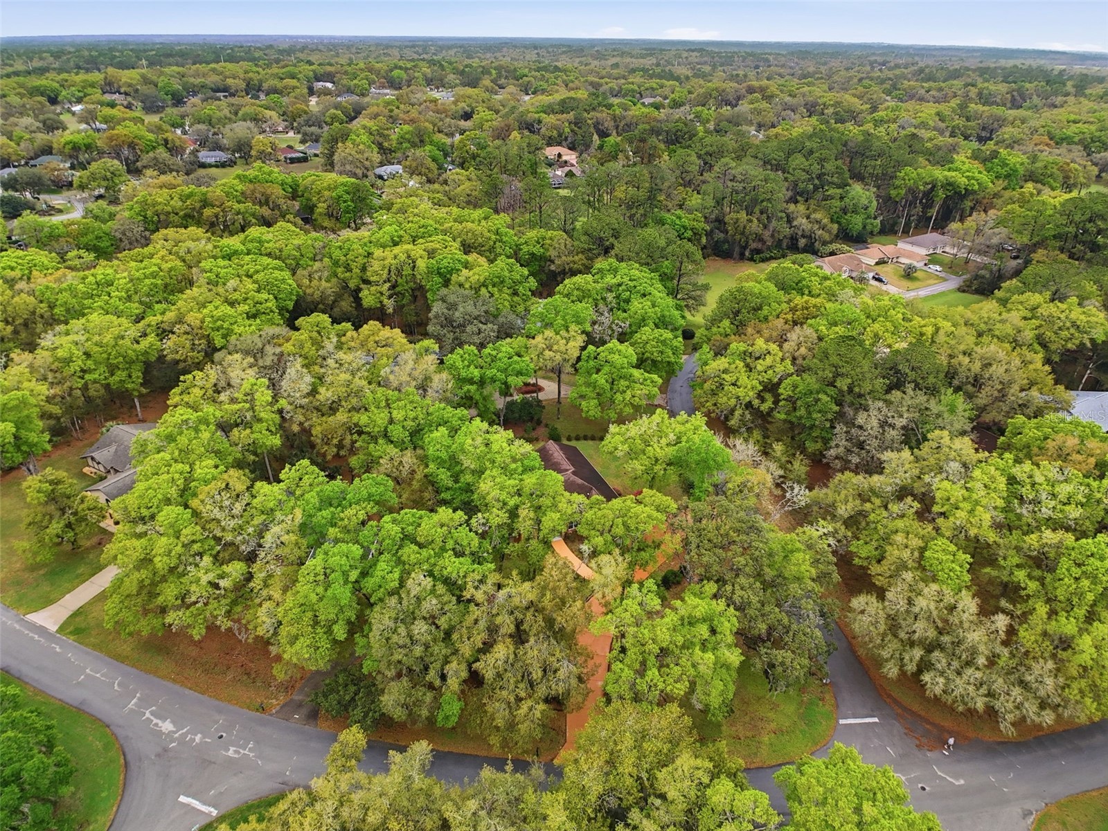 19295 SW 90th Lane Road Dunnellon FL 34432 OM721148 image69