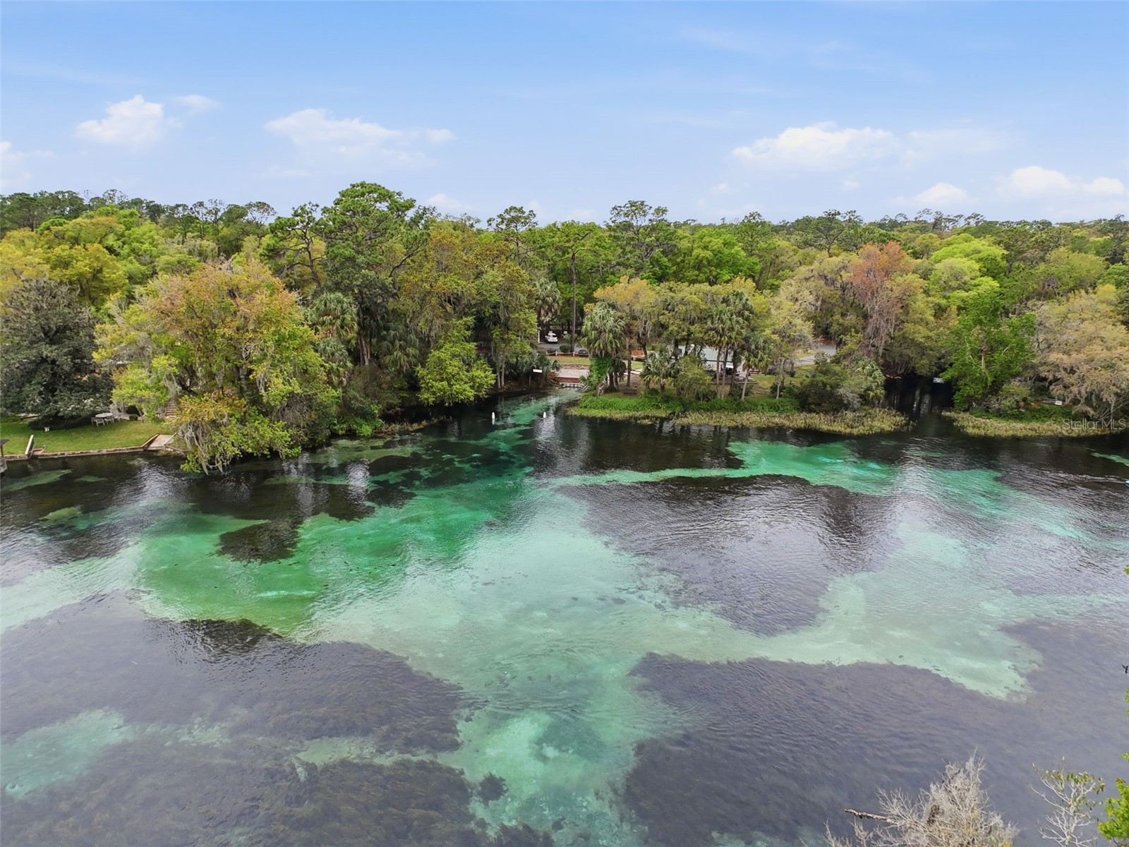 19295 SW 90th Lane Road Dunnellon FL 34432 OM721148 image70