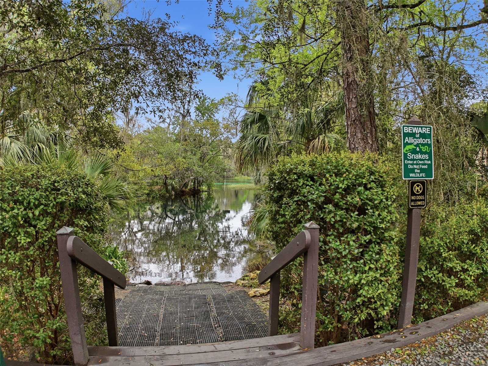 19295 SW 90th Lane Road Dunnellon FL 34432 OM721148 image75