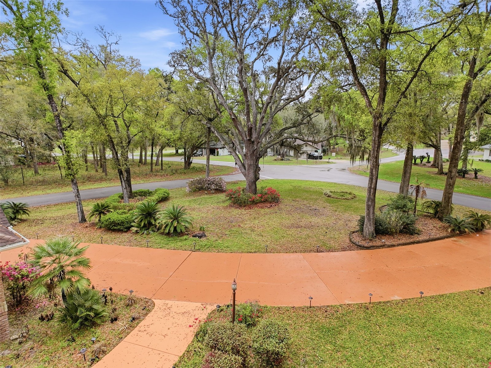 19295 SW 90th Lane Road Dunnellon FL 34432 OM721148 image8