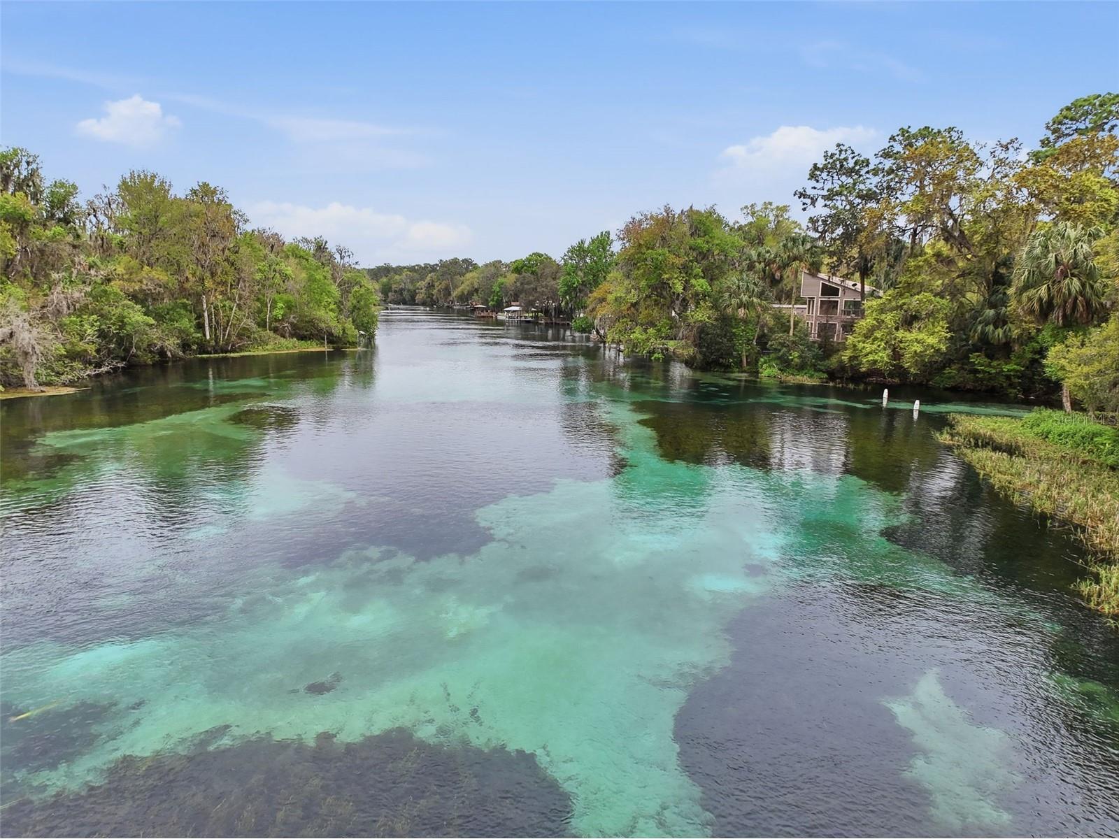 19295 SW 90th Lane Road Dunnellon FL 34432 OM721148 image82