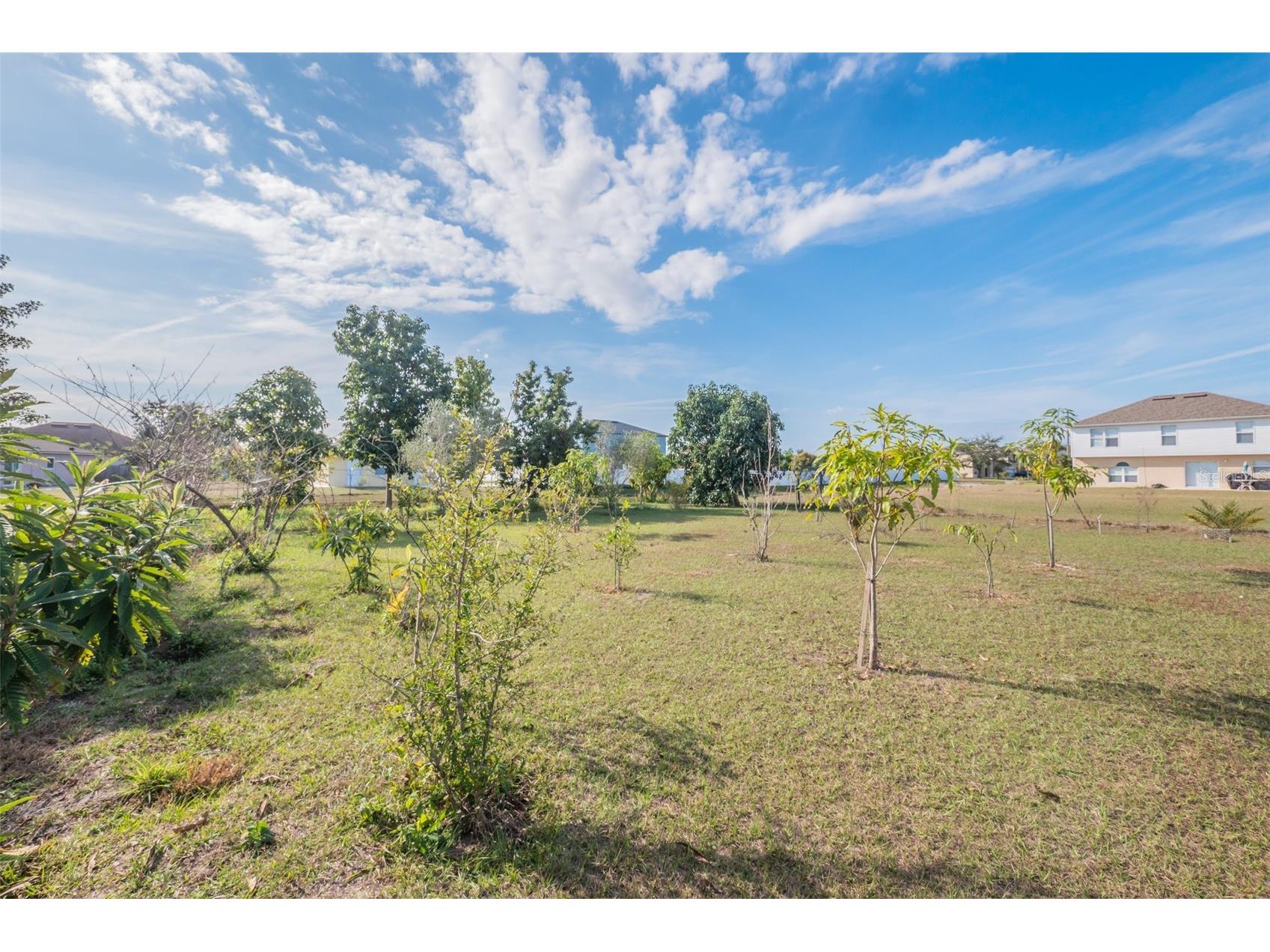 193 Aurelia Court Kissimmee FL 34758 S5141378 image41