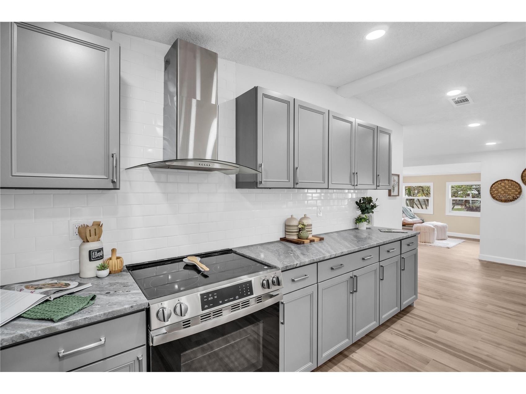 193 Blue Marlin Drive Oldsmar FL 34677 TB8503933 image20