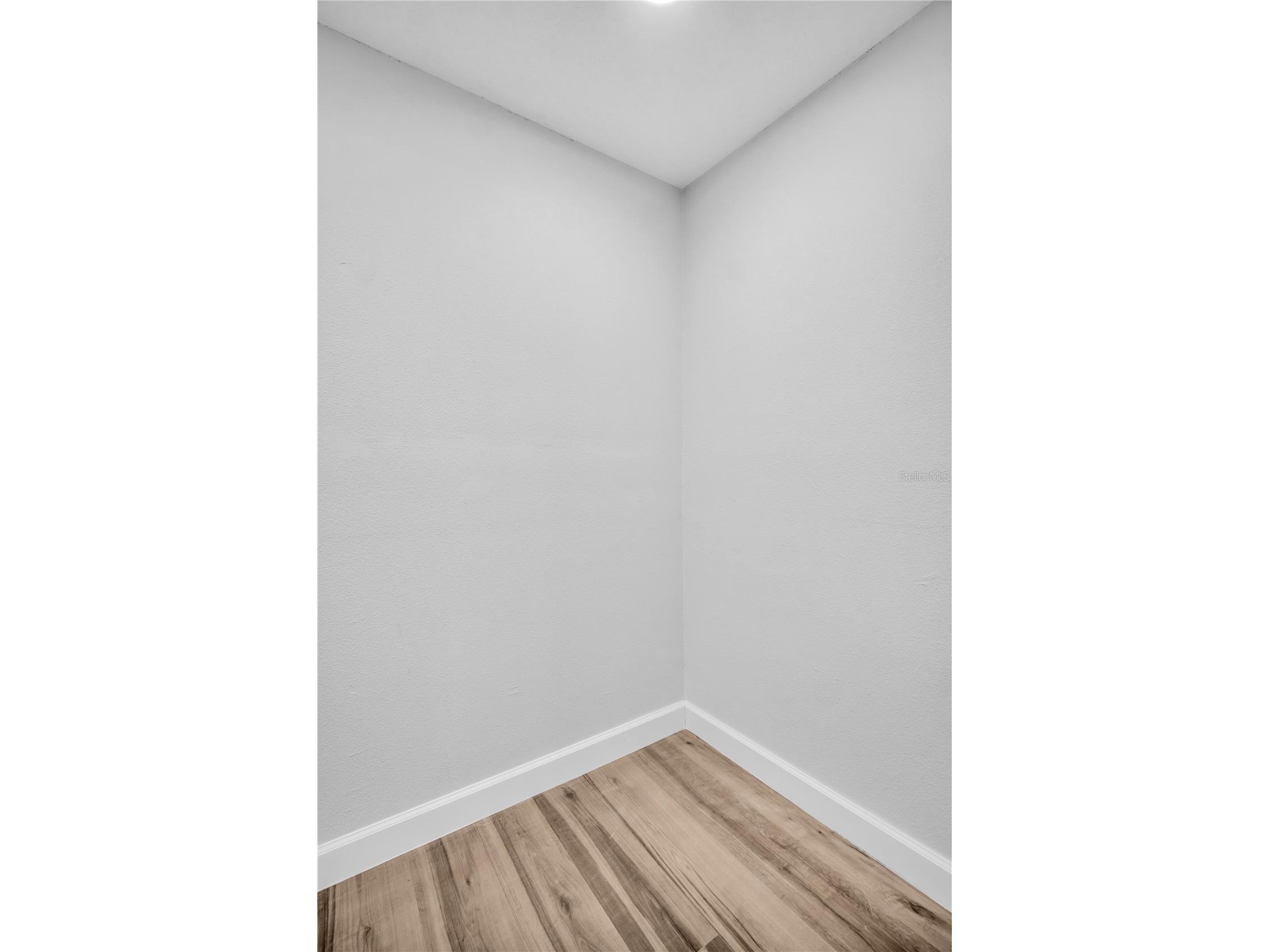 193 Blue Marlin Drive Oldsmar FL 34677 TB8503933 image27