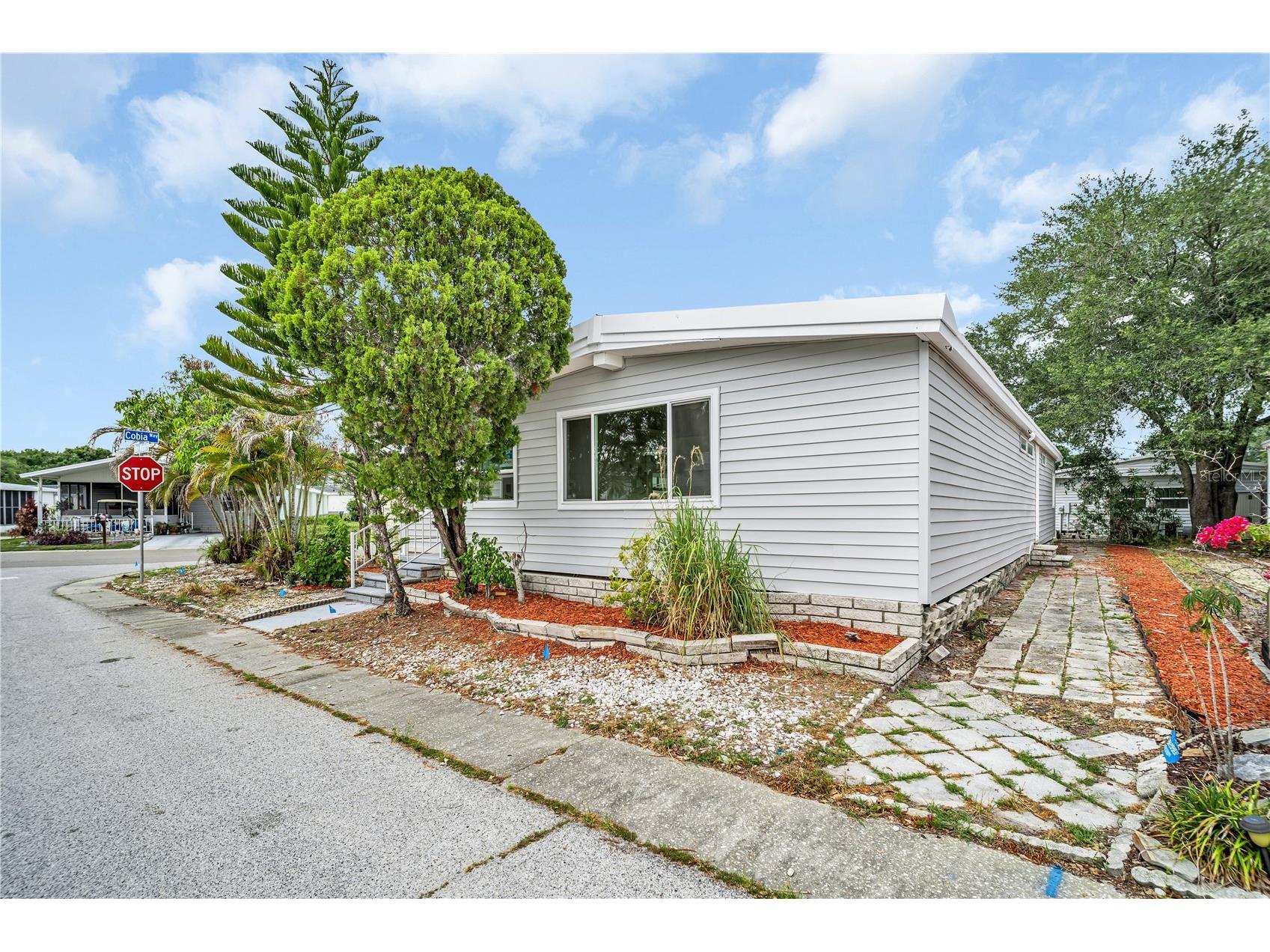 193 Blue Marlin Drive Oldsmar FL 34677 TB8503933 image41