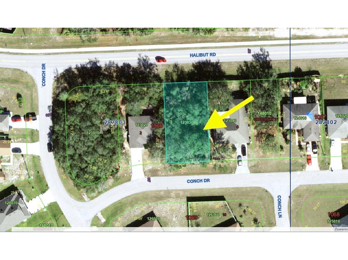 193 Conch Drive Kissimmee FL 34759 O6345245 image1