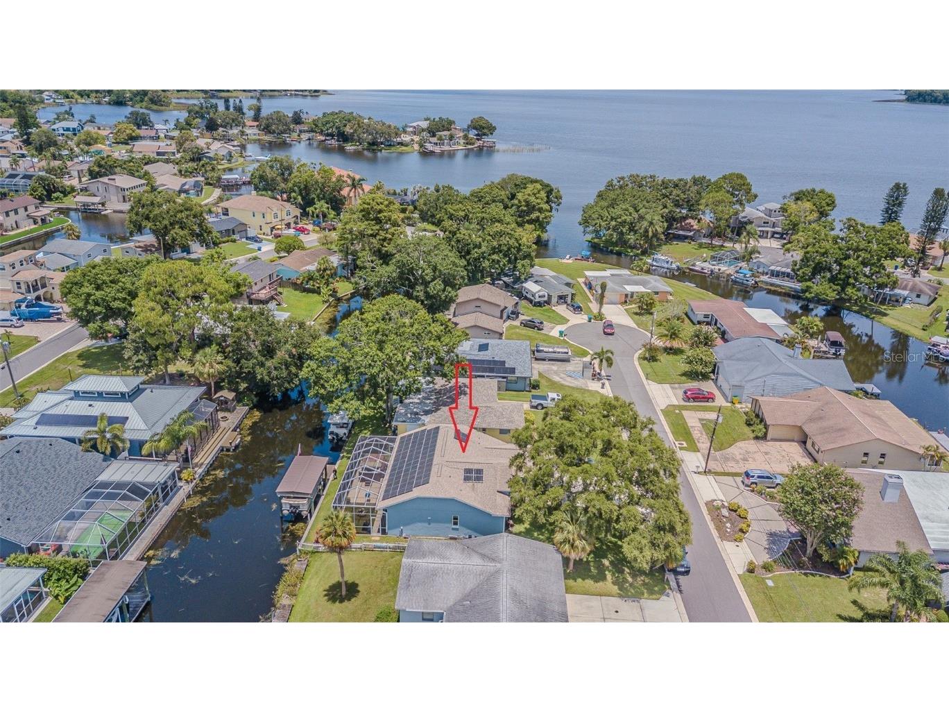 193 E Canal Drive Palm Harbor FL 34684 - LAKE TARPON TB8404595 image2