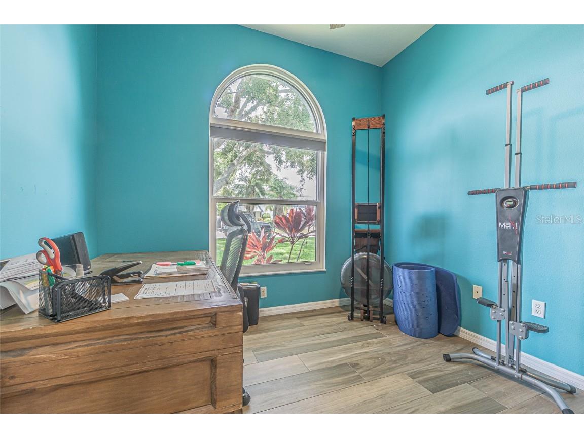 193 E Canal Drive Palm Harbor FL 34684 - LAKE TARPON TB8404595 image22