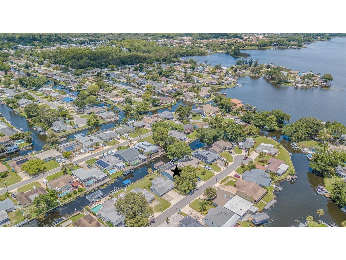 193 E Canal Drive Palm Harbor FL 34684 - LAKE TARPON TB8404595 image3
