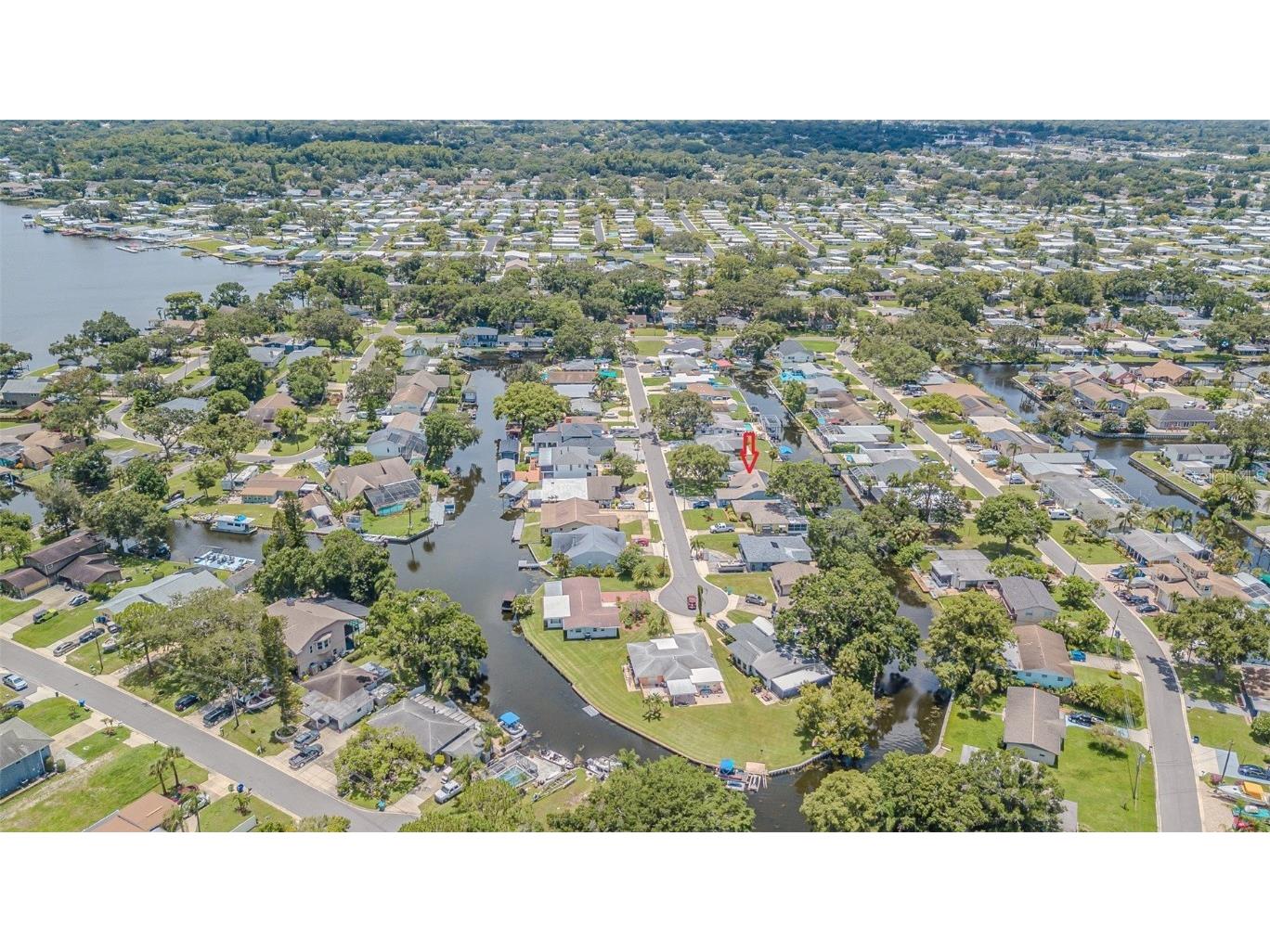193 E Canal Drive Palm Harbor FL 34684 - LAKE TARPON TB8404595 image32
