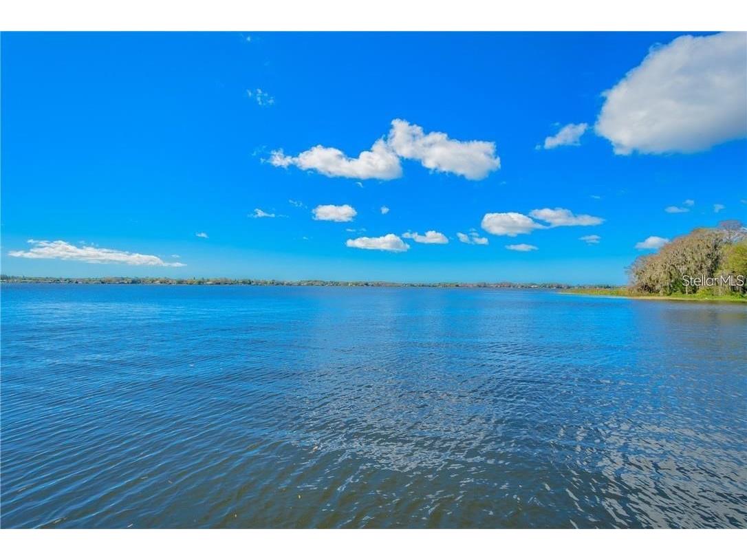 193 E Canal Drive Palm Harbor FL 34684 - LAKE TARPON TB8404595 image35