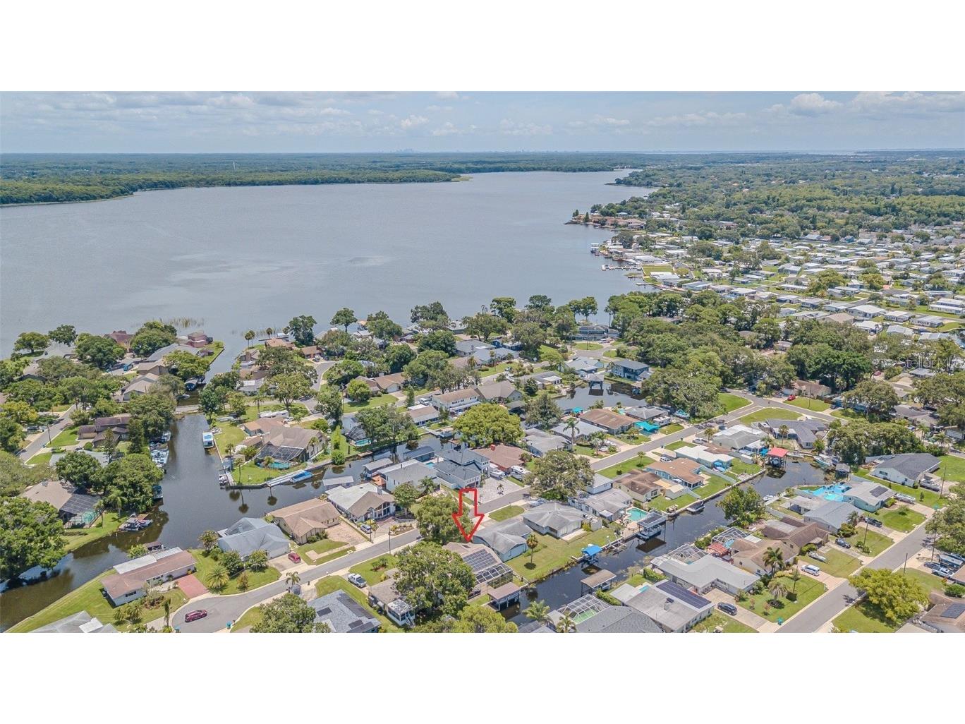 193 E Canal Drive Palm Harbor FL 34684 - LAKE TARPON TB8404595 image4