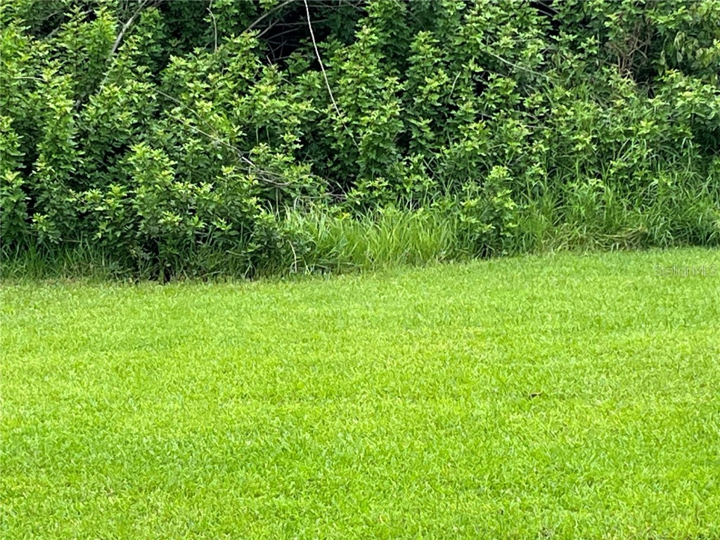 193 Garden Avenue NW Port Charlotte FL 33952 C7480380 image1