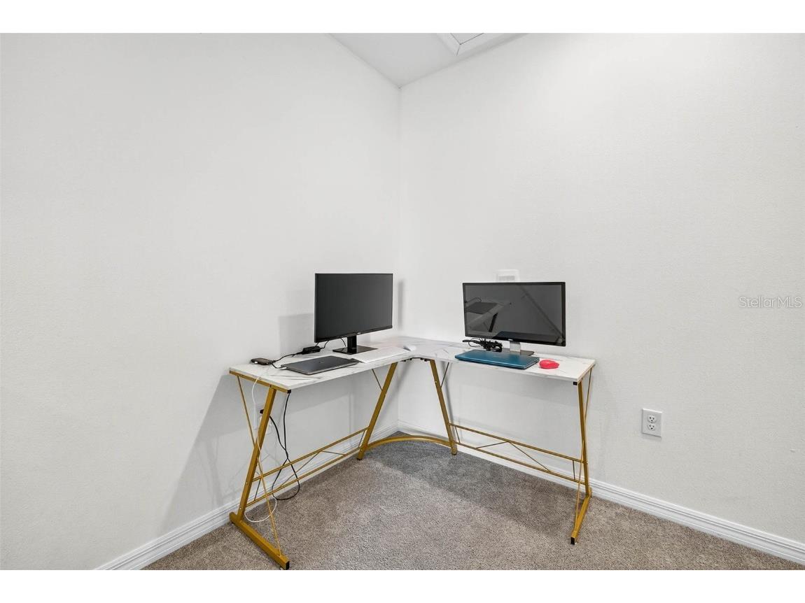 193 Mangrove Shade Circle Apollo Beach FL 33572 TB8439025 image19