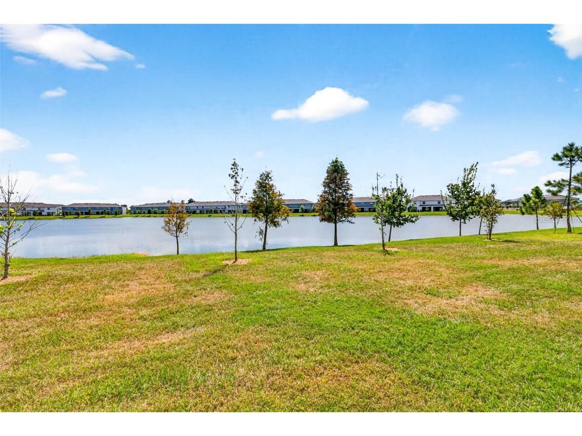 193 Mangrove Shade Circle Apollo Beach FL 33572 TB8439025 image34