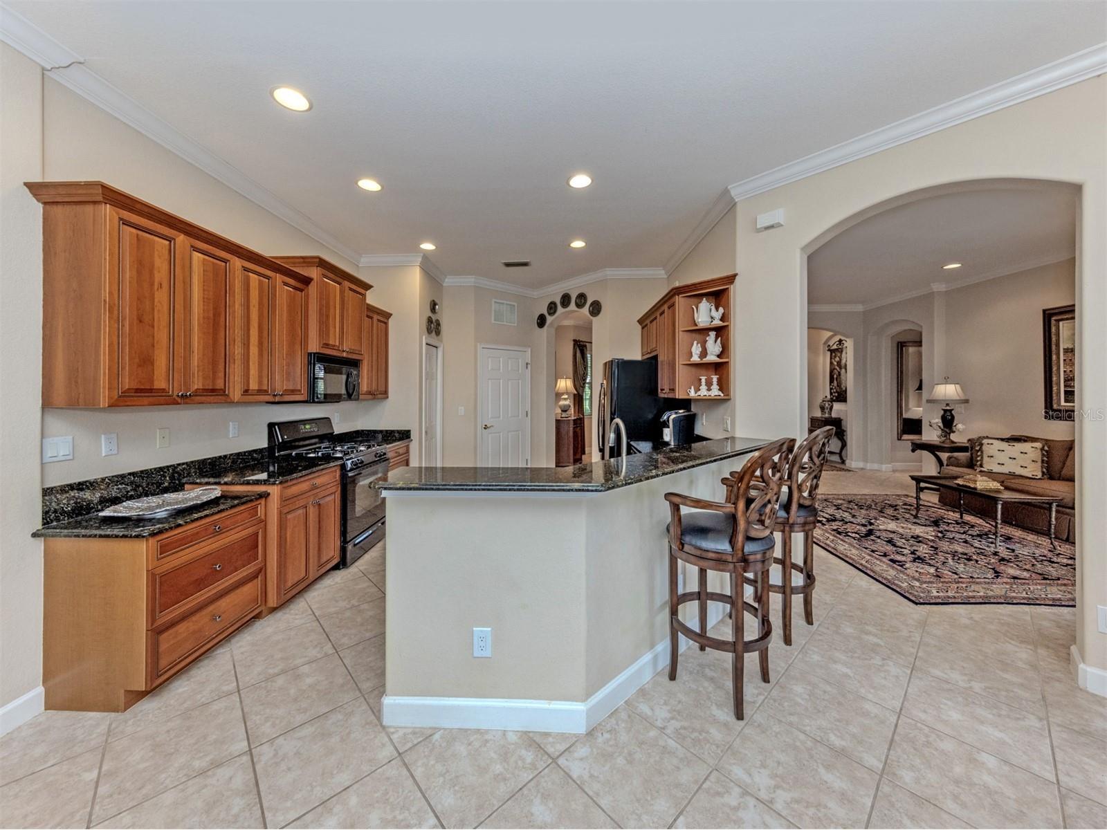 193 Montelluna Drive North Venice FL 34275 N6143170 image16