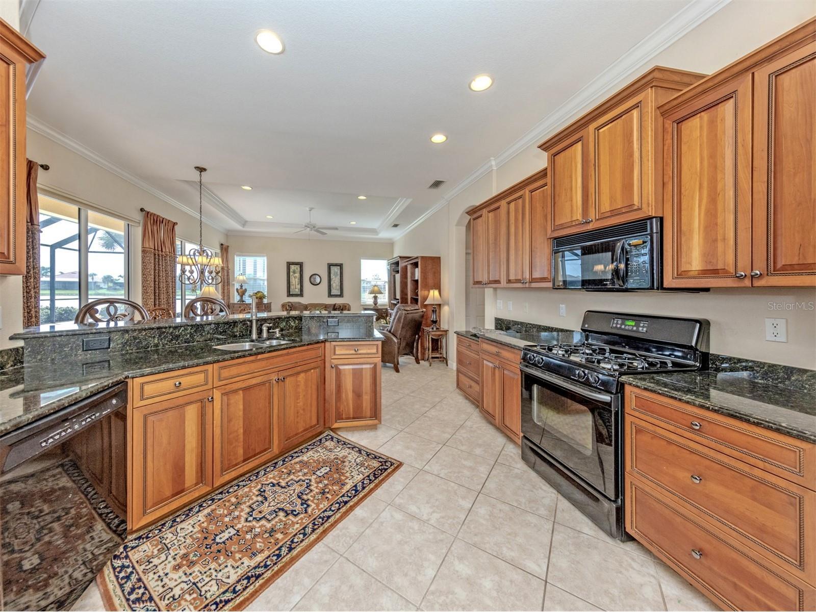 193 Montelluna Drive North Venice FL 34275 N6143170 image17